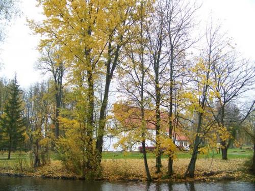Verregneter Herbsttag (100_0356.JPG) wird geladen. Eindrucksvolle Fotos aus Lettland erwarten Sie.